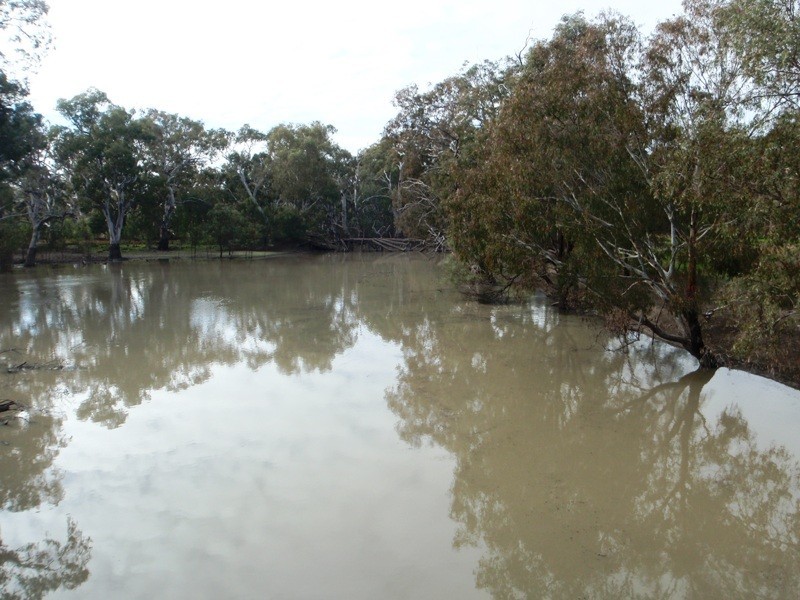 Lot 1 Mackenzie Street, Conargo NSW 2710