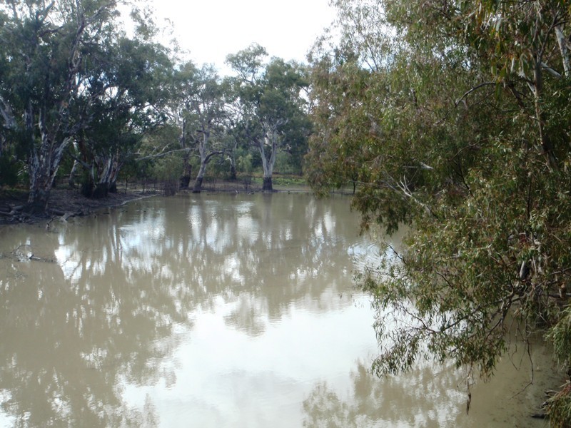 Lot 1 Mackenzie Street, Conargo NSW 2710