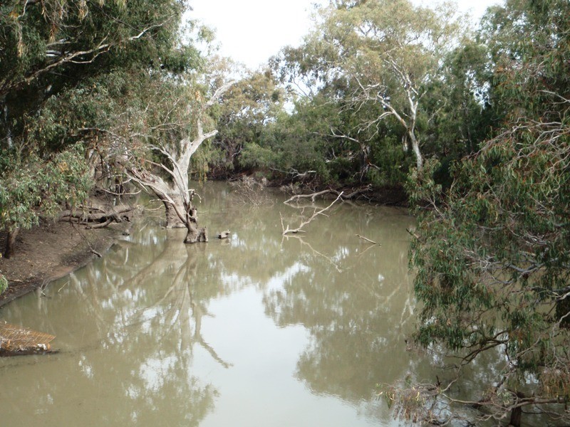 Lot 1 Mackenzie Street, Conargo NSW 2710