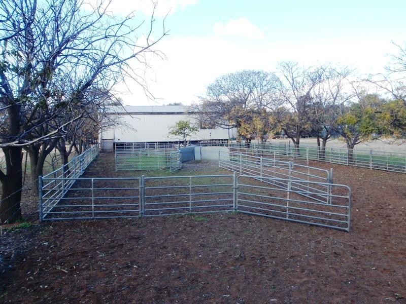 Deniliquin NSW 2710