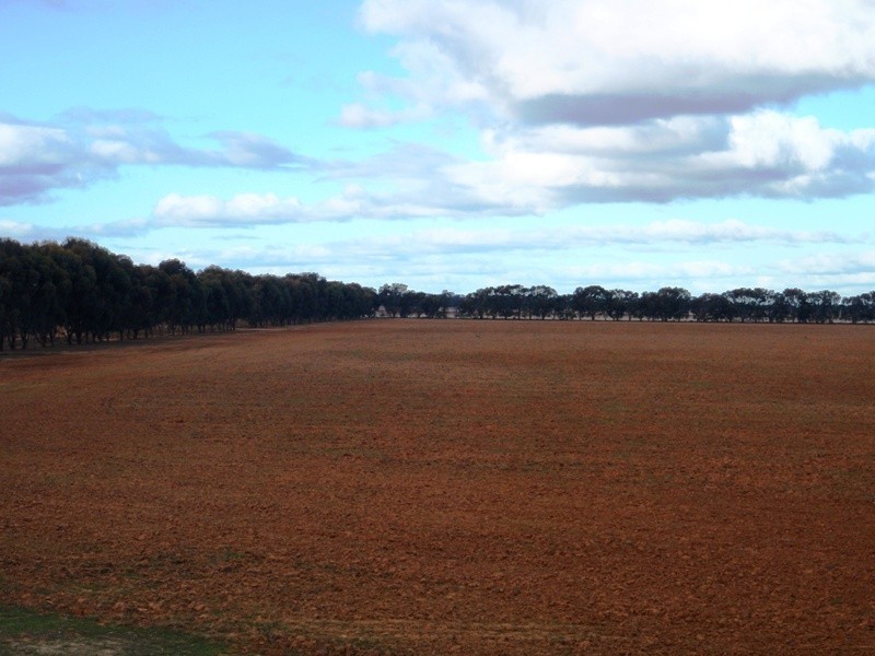 Deniliquin NSW 2710