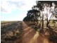 Deniliquin NSW 2710