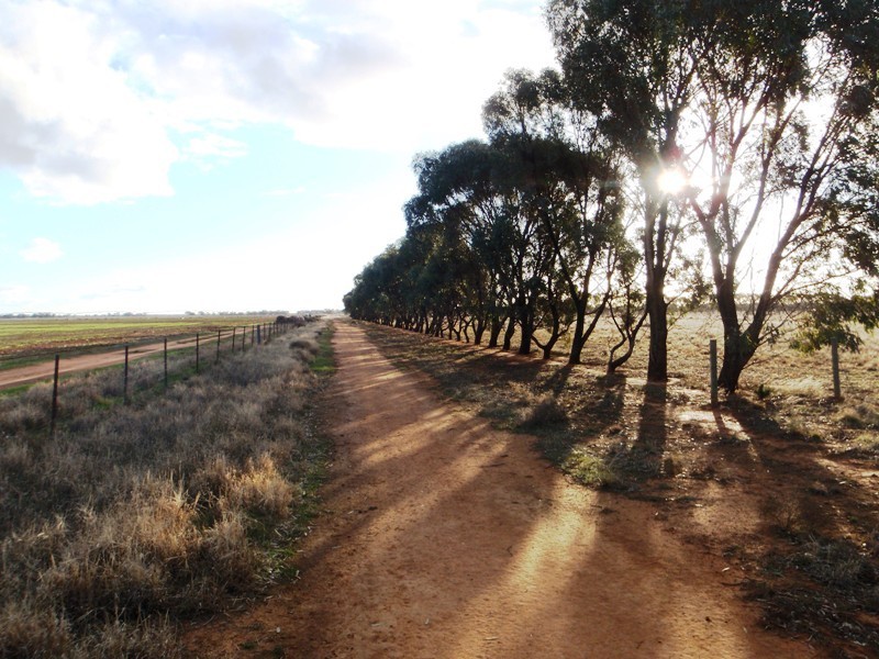 Deniliquin NSW 2710