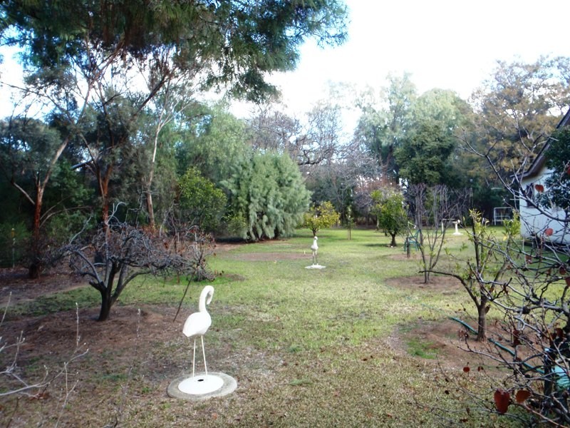 Deniliquin NSW 2710