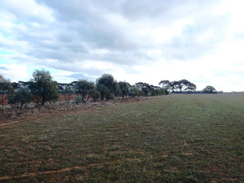Deniliquin NSW 2710