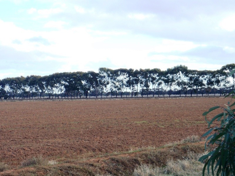 Deniliquin NSW 2710