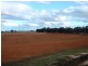 Deniliquin NSW 2710