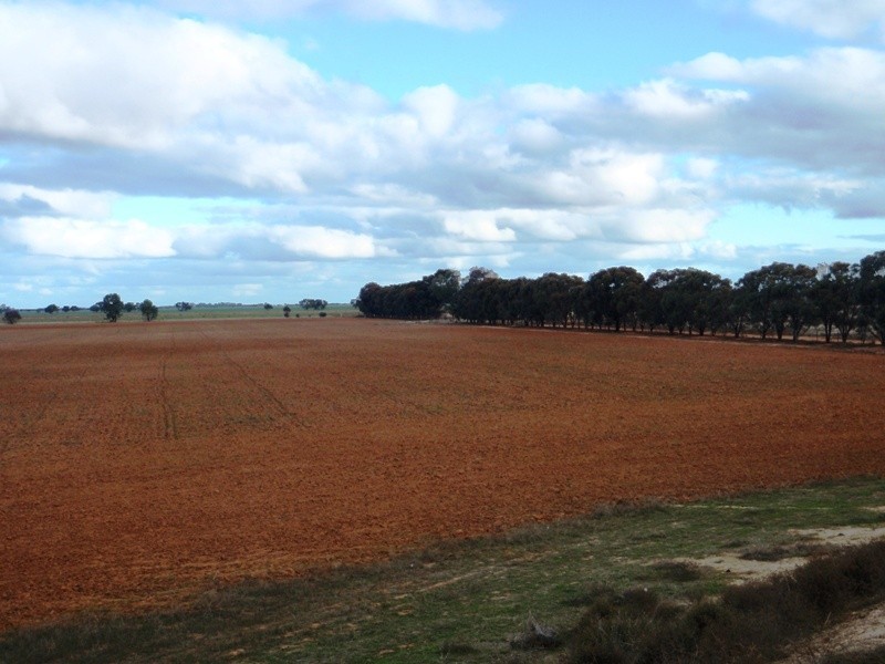 Deniliquin NSW 2710