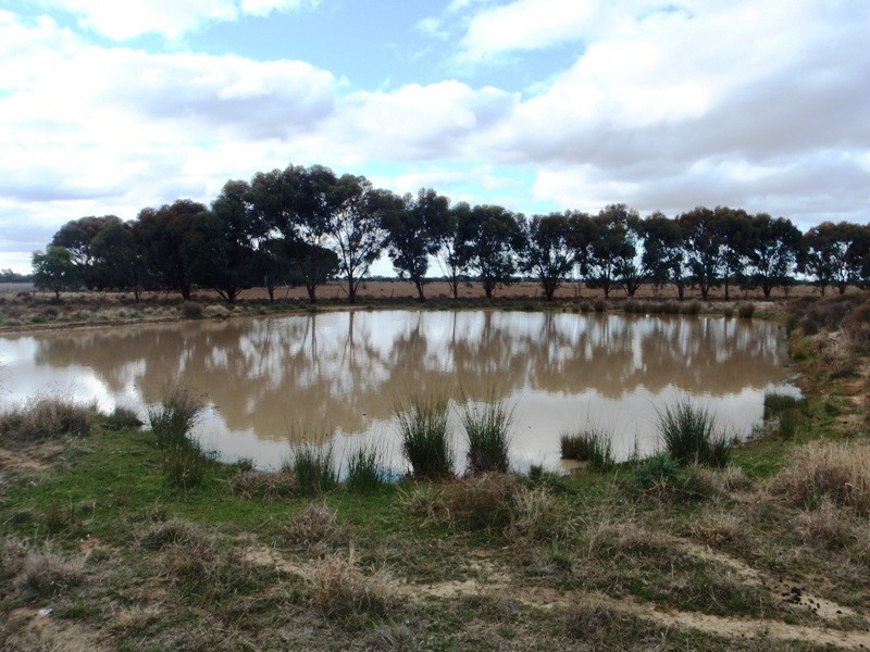 Deniliquin NSW 2710