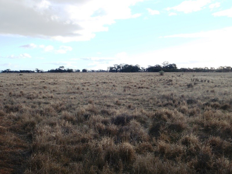 Deniliquin NSW 2710