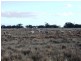 Deniliquin NSW 2710