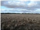 Deniliquin NSW 2710