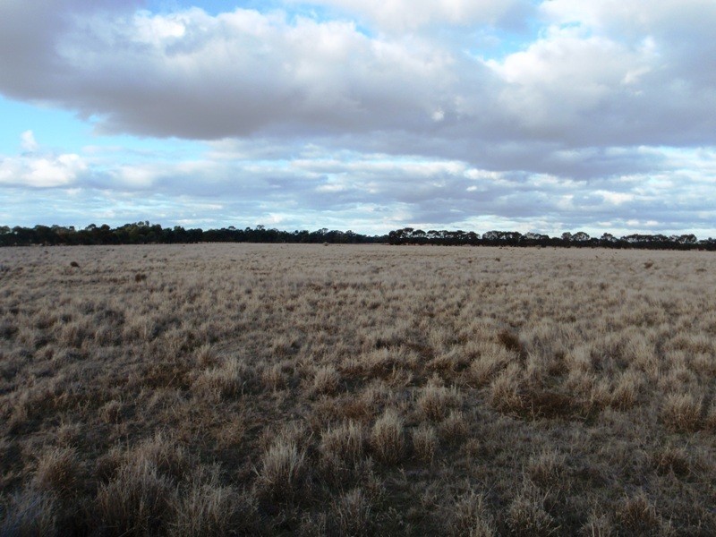 Deniliquin NSW 2710