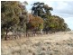 Deniliquin NSW 2710
