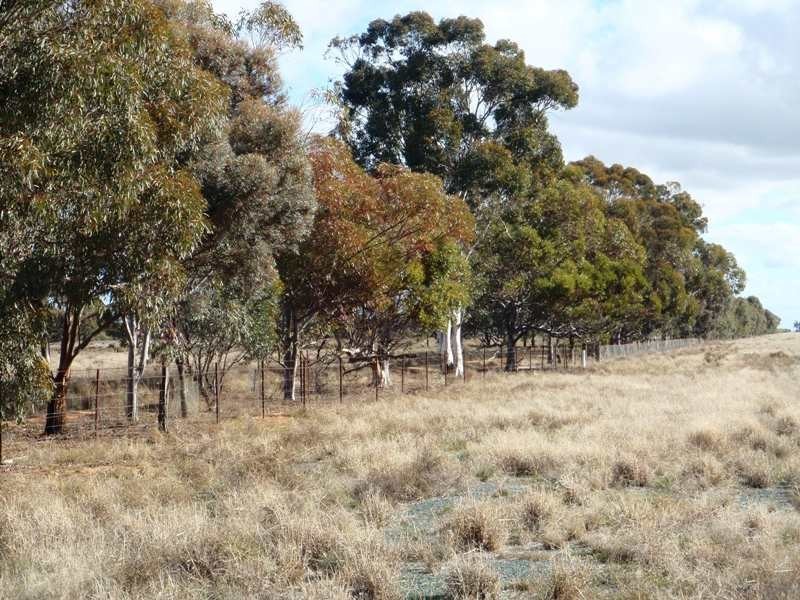 Deniliquin NSW 2710