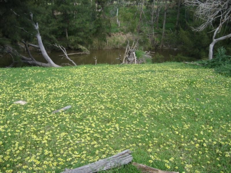 - Fish River Rd, Crookwell NSW 2583