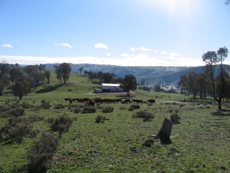 - Fish River Rd, Crookwell NSW 2583