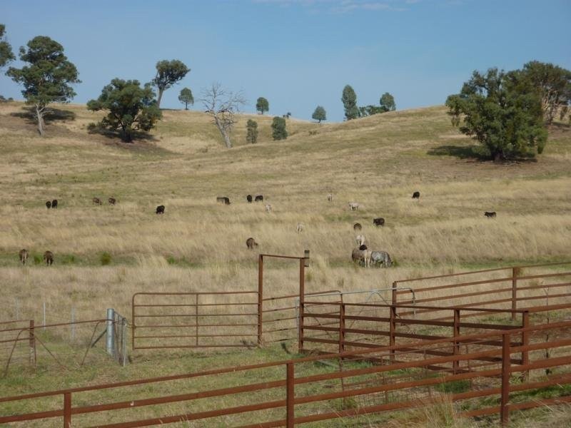 Tarcutta NSW 2652