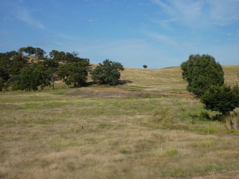 Tarcutta NSW 2652