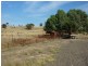 Tarcutta NSW 2652