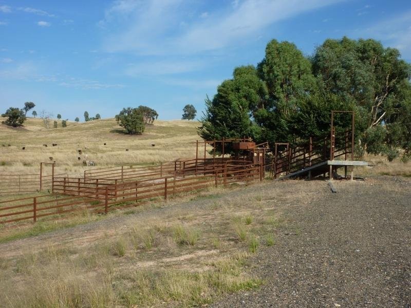 Tarcutta NSW 2652