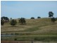 Tarcutta NSW 2652