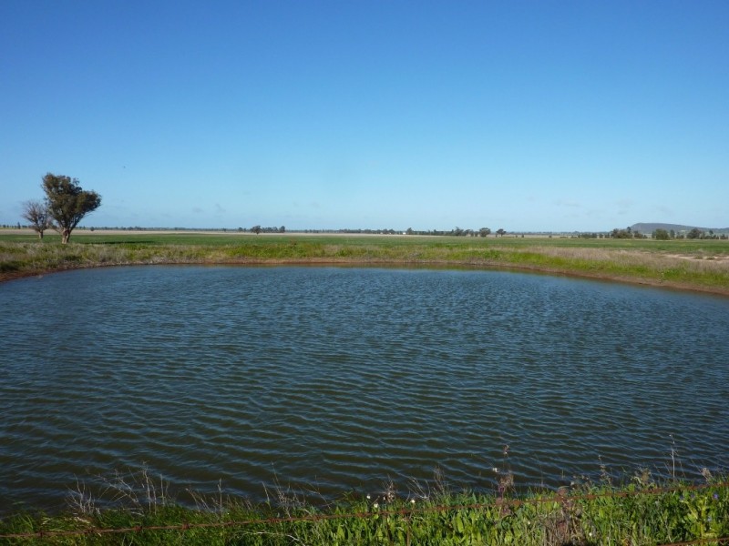 10 Gawnes Road, Grong Grong NSW 2652