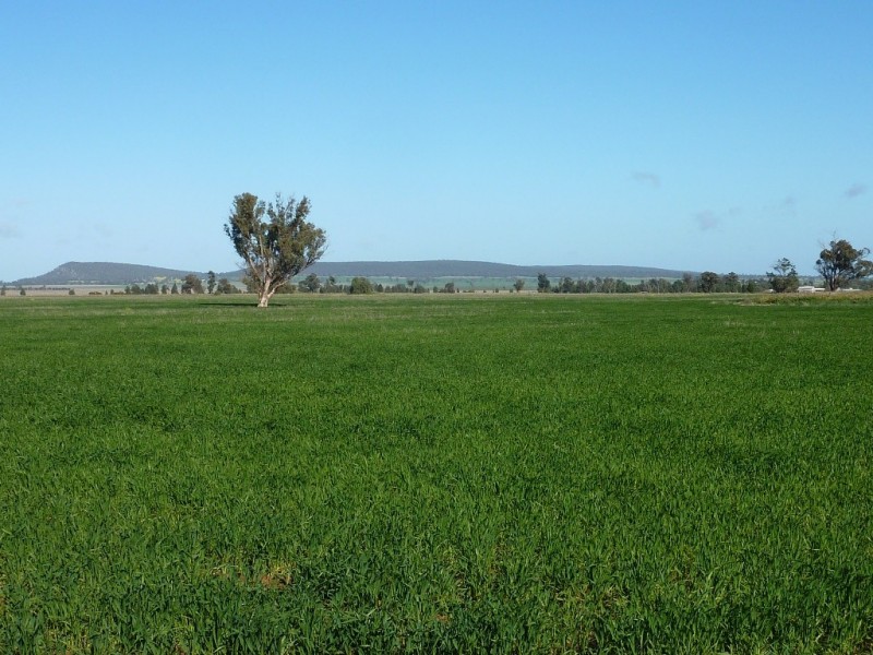 10 Gawnes Road, Grong Grong NSW 2652