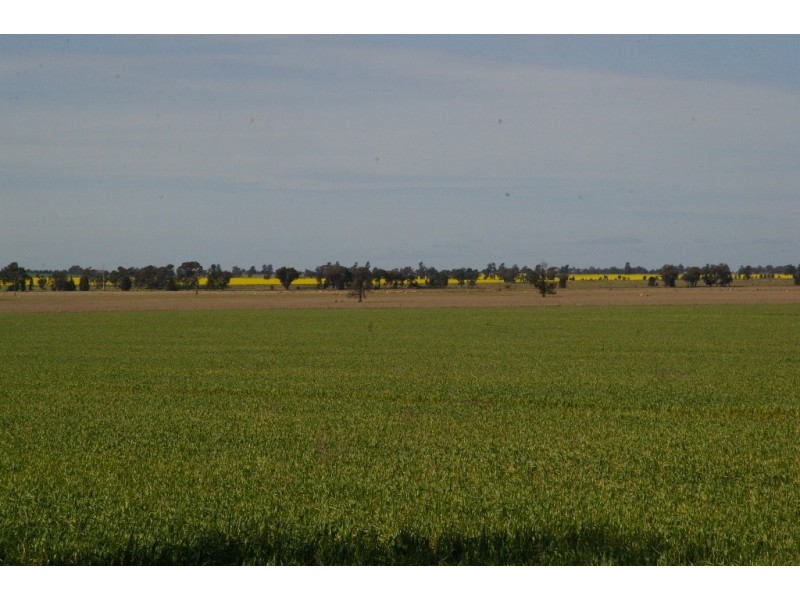 10 Gawnes Road, Grong Grong NSW 2652