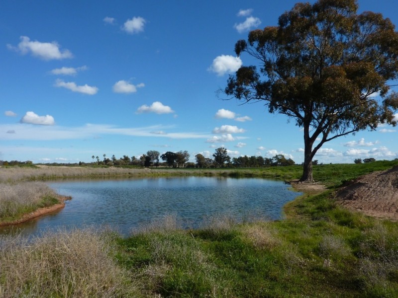 50 Lestefield Lane, Coolamon NSW 2701