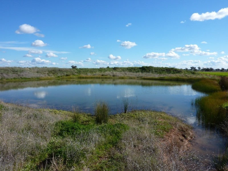 50 Lestefield Lane, Coolamon NSW 2701