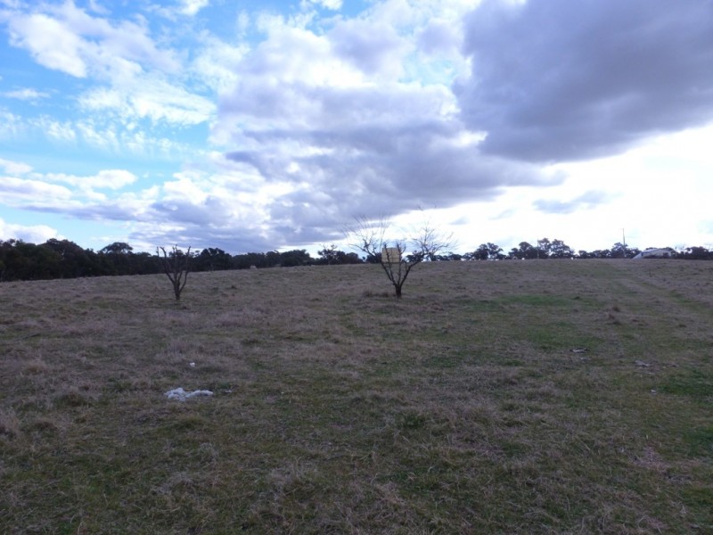 1341 Belowra Road, Murringo NSW 2586