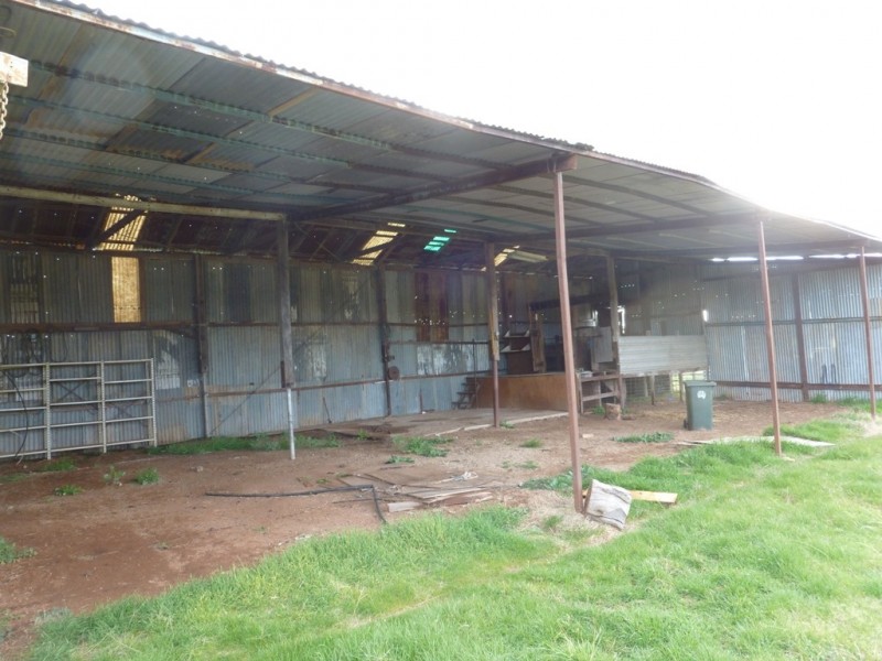 1341 Belowra Road, Murringo NSW 2586