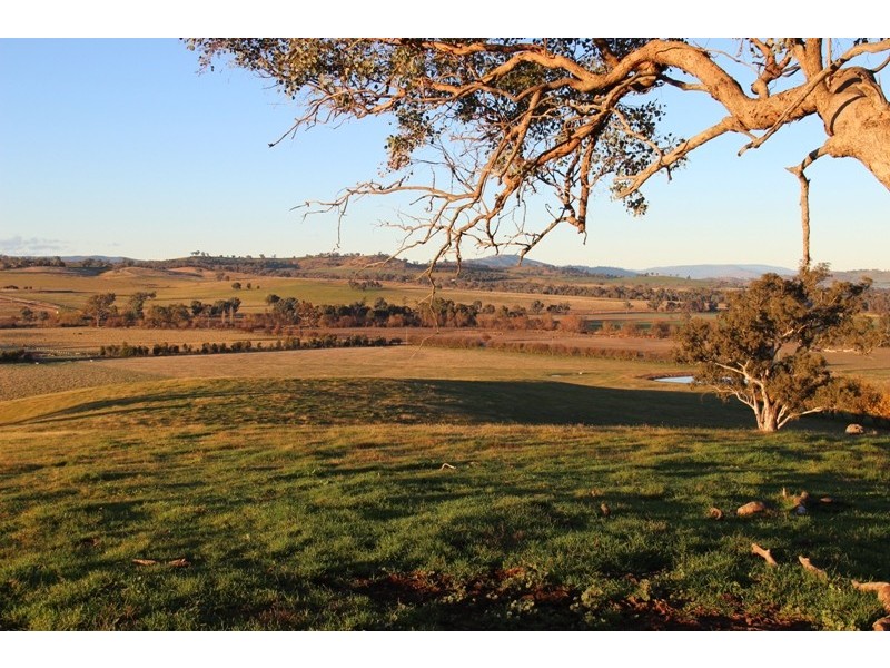 Kelloe Mains Hume Highway, Albury NSW 2640