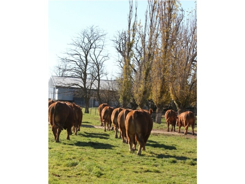 Kelloe Mains Hume Highway, Albury NSW 2640