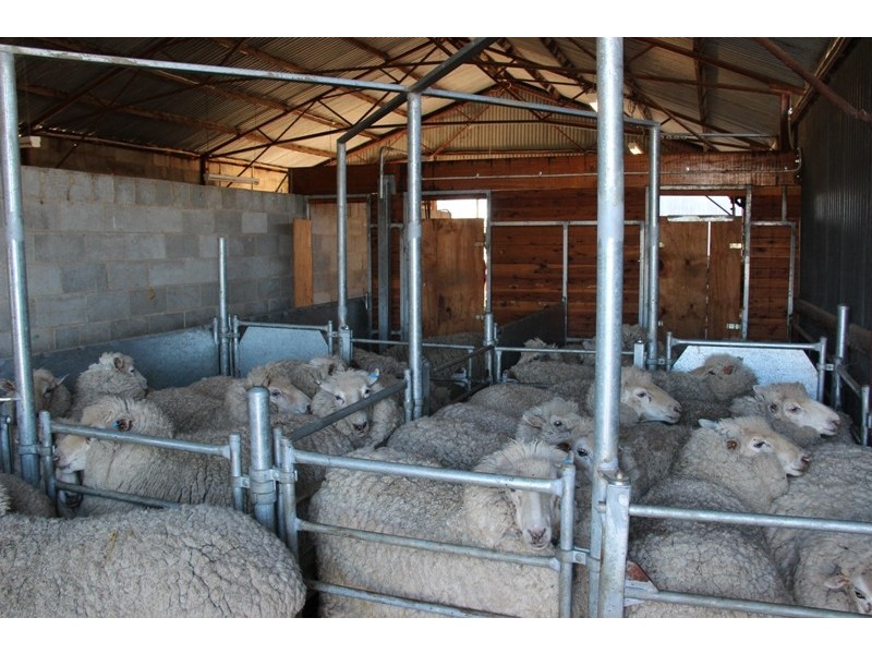 Kelloe Mains Hume Highway, Albury NSW 2640