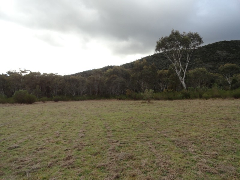 Lot 5 Dora Dora Estate, River Road, Talmalmo NSW 2640