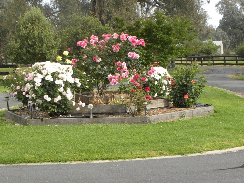 11 Colonial Drive, Jindera NSW 2642