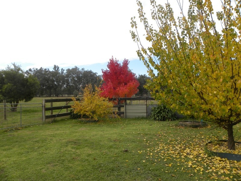 11 Colonial Drive, Jindera NSW 2642