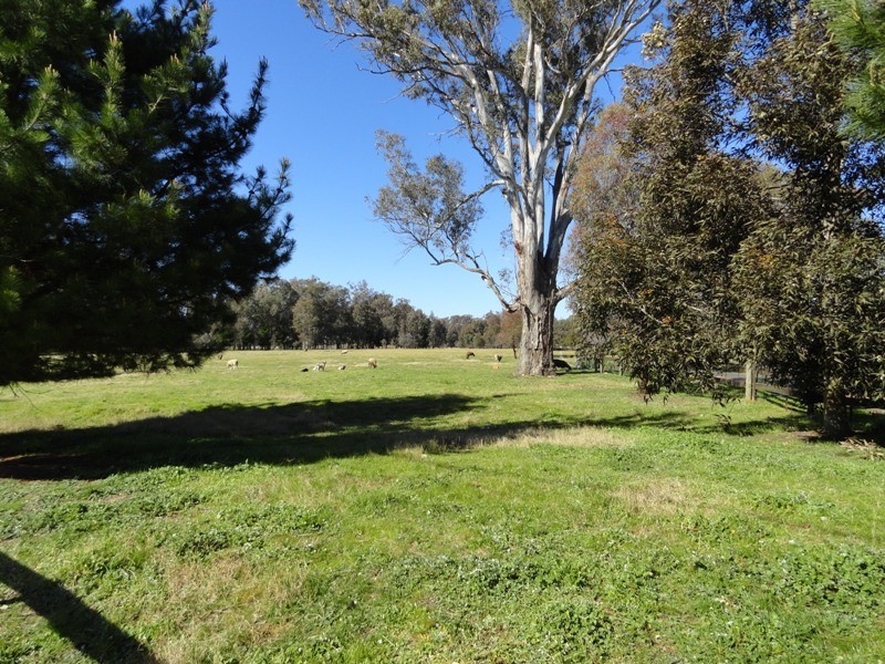 11 Colonial Drive, Jindera NSW 2642