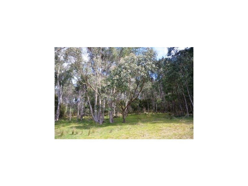 Lot 1, 462 Great Alpine Road, Bright VIC 3741
