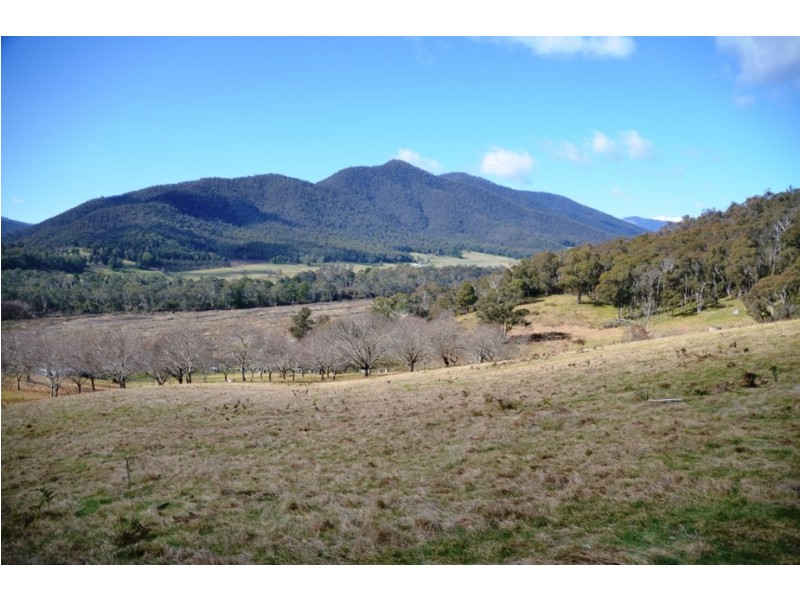 Lot 1, 462 Great Alpine Road, Bright VIC 3741