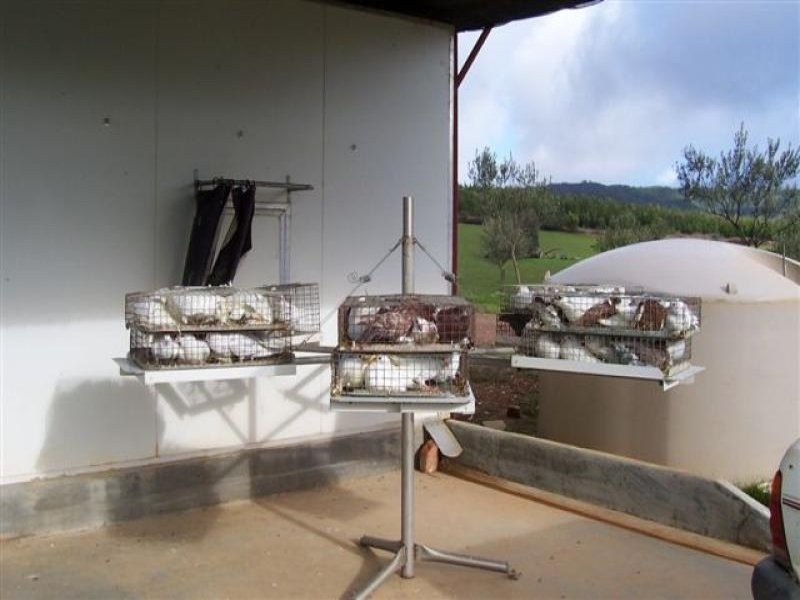 - N/ A Tumbarumba Road Carabost Via, Wagga Wagga NSW 2650