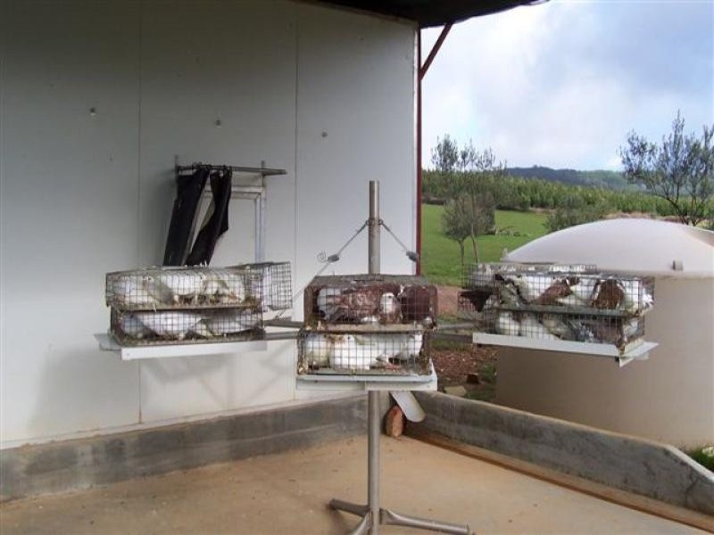 - N/ A Tumbarumba Road Carabost Via, Wagga Wagga NSW 2650