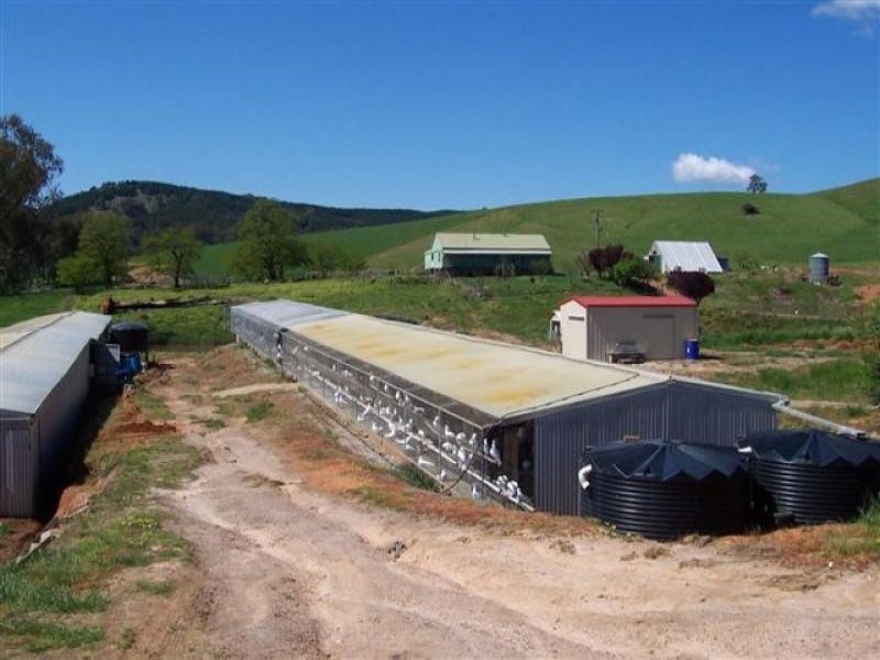 - N/ A Tumbarumba Road Carabost Via, Wagga Wagga NSW 2650