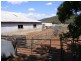 - N/ A Barellan Road Colinroobie Via, Narrandera NSW 2700