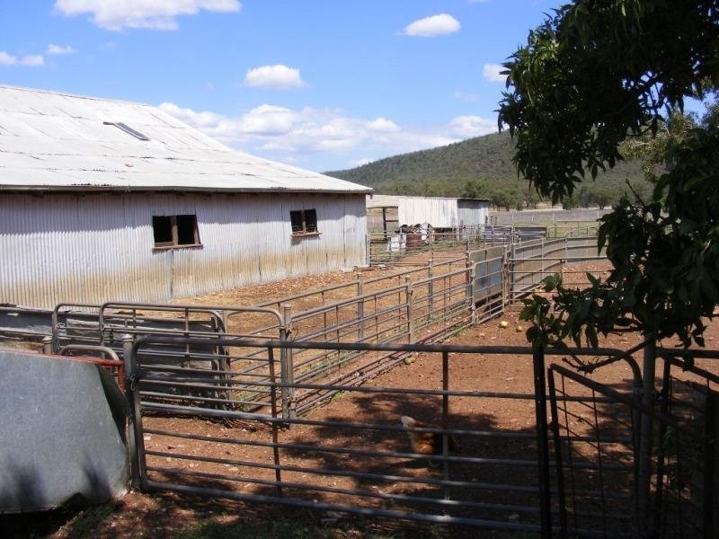 - N/ A Barellan Road Colinroobie Via, Narrandera NSW 2700