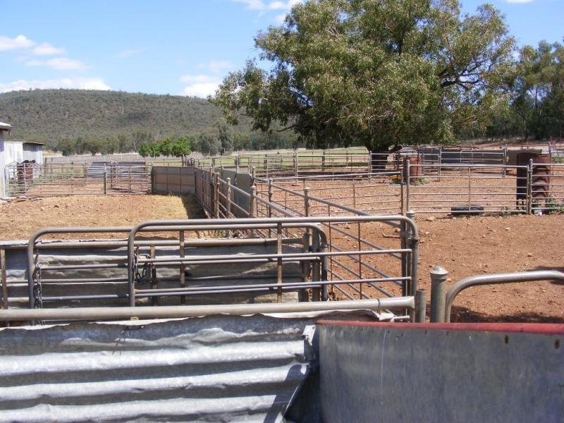 - N/ A Barellan Road Colinroobie Via, Narrandera NSW 2700