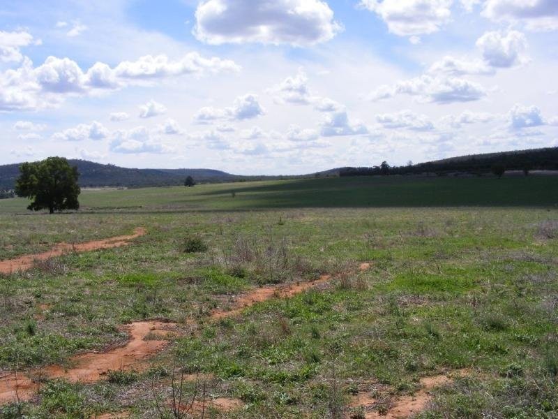 - N/ A Barellan Road Colinroobie Via, Narrandera NSW 2700