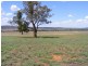 - N/ A Barellan Road Colinroobie Via, Narrandera NSW 2700